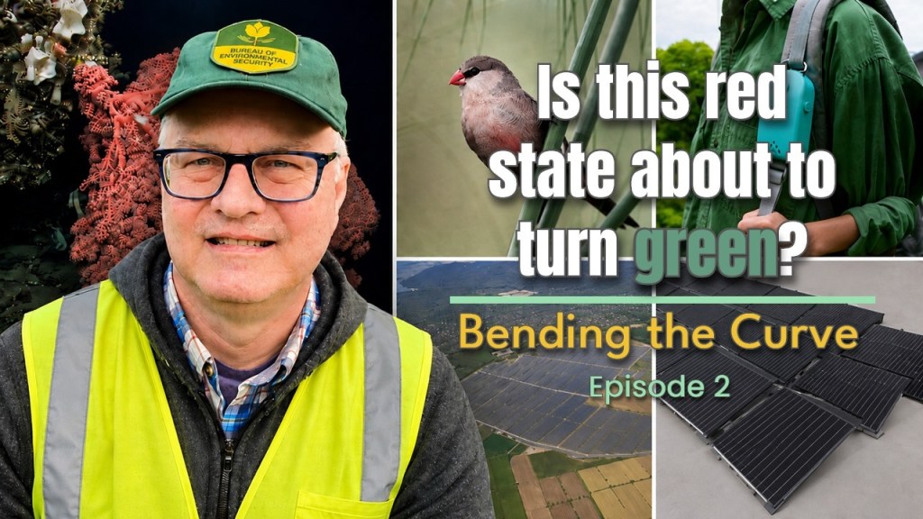 bending the curve episode 2 thumbnail